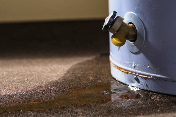 Best Commercial water damage restoration  in Malta, MT