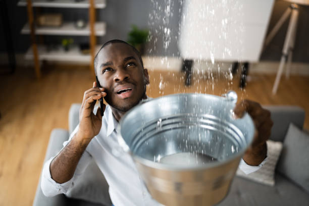 Best Sewage cleanup and water damage restoration  in Malta, MT