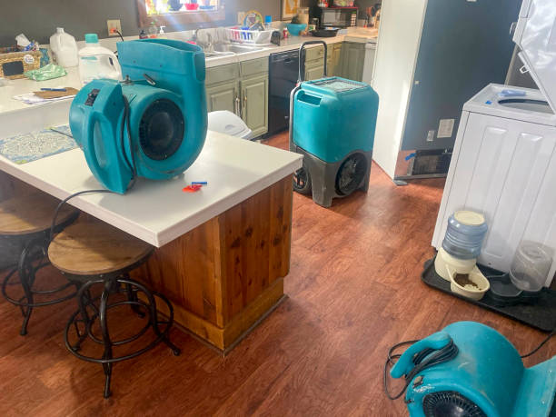 Best Ceiling water damage repair  in Malta, MT