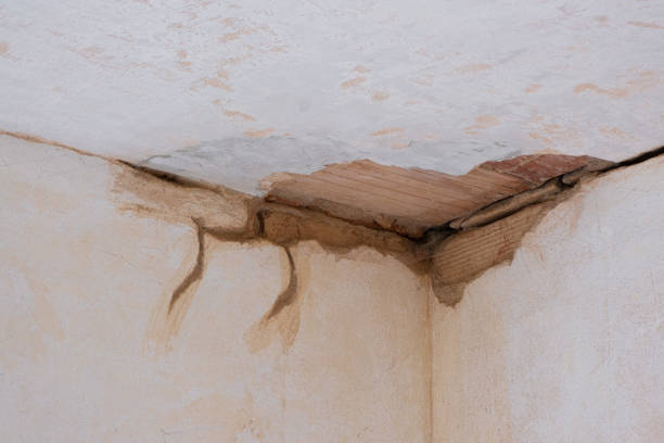 Best Water damage restoration near me  in Malta, MT