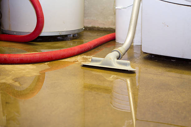 Best 24/7 water damage repair  in Malta, MT