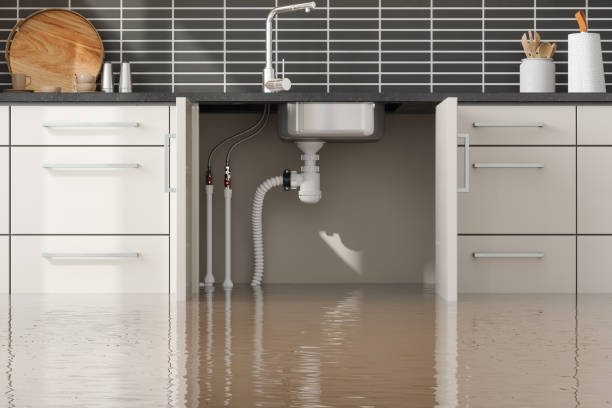 Best 24/7 water damage repair  in Malta, MT